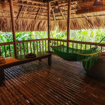 Dinh Gia Trang - Homestay & Coffee The Ruong Exterior photo