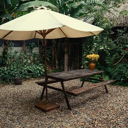 Dinh Gia Trang - Homestay & Coffee The Ruong Exterior photo