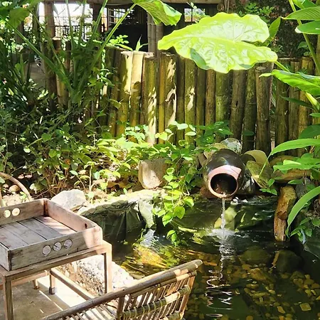 Dinh Gia Trang - Homestay & Coffee The Ruong Exterior photo