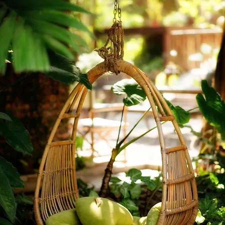 Dinh Gia Trang - Homestay & Coffee The Ruong Exterior photo