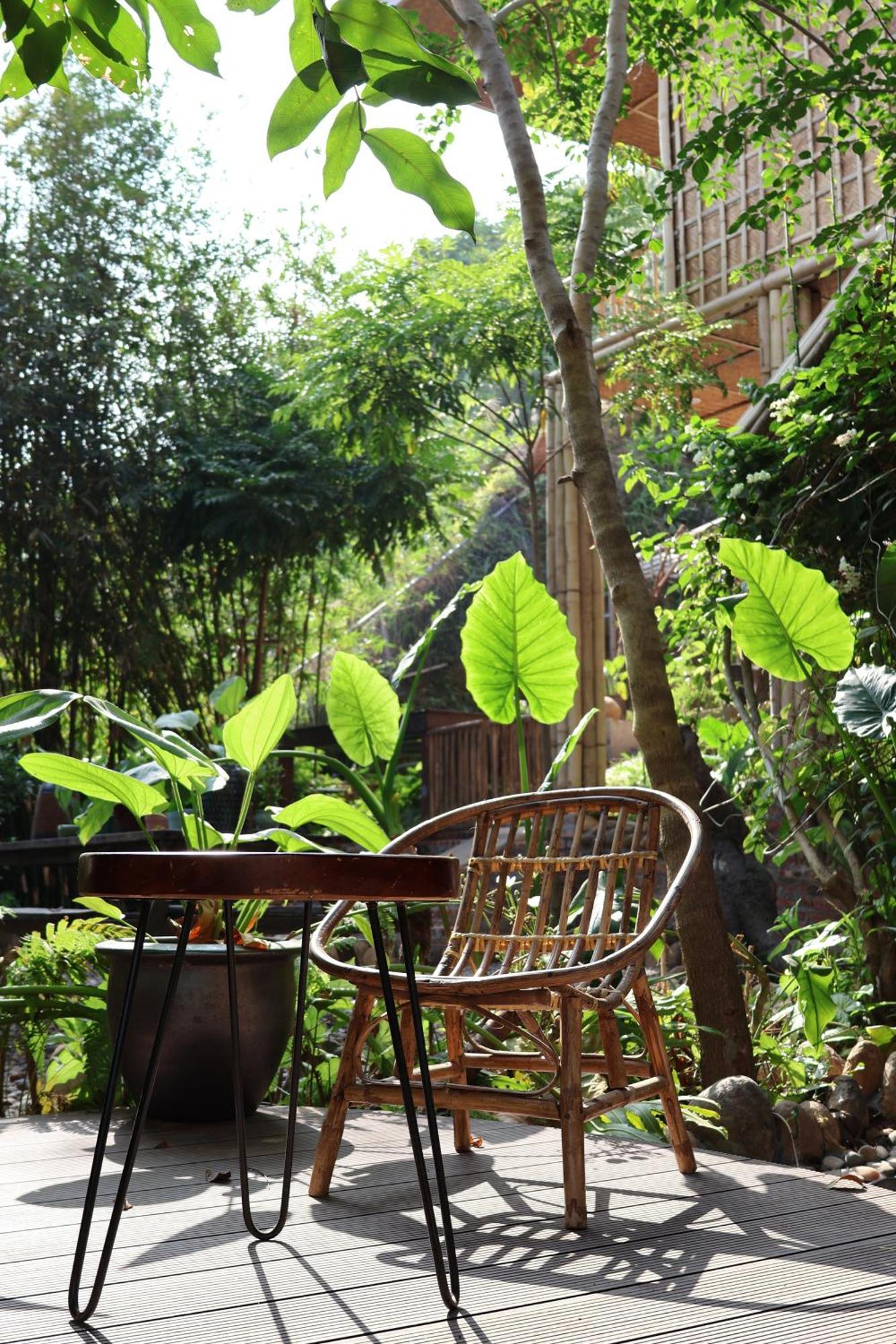 Dinh Gia Trang - & Coffee The Ruong