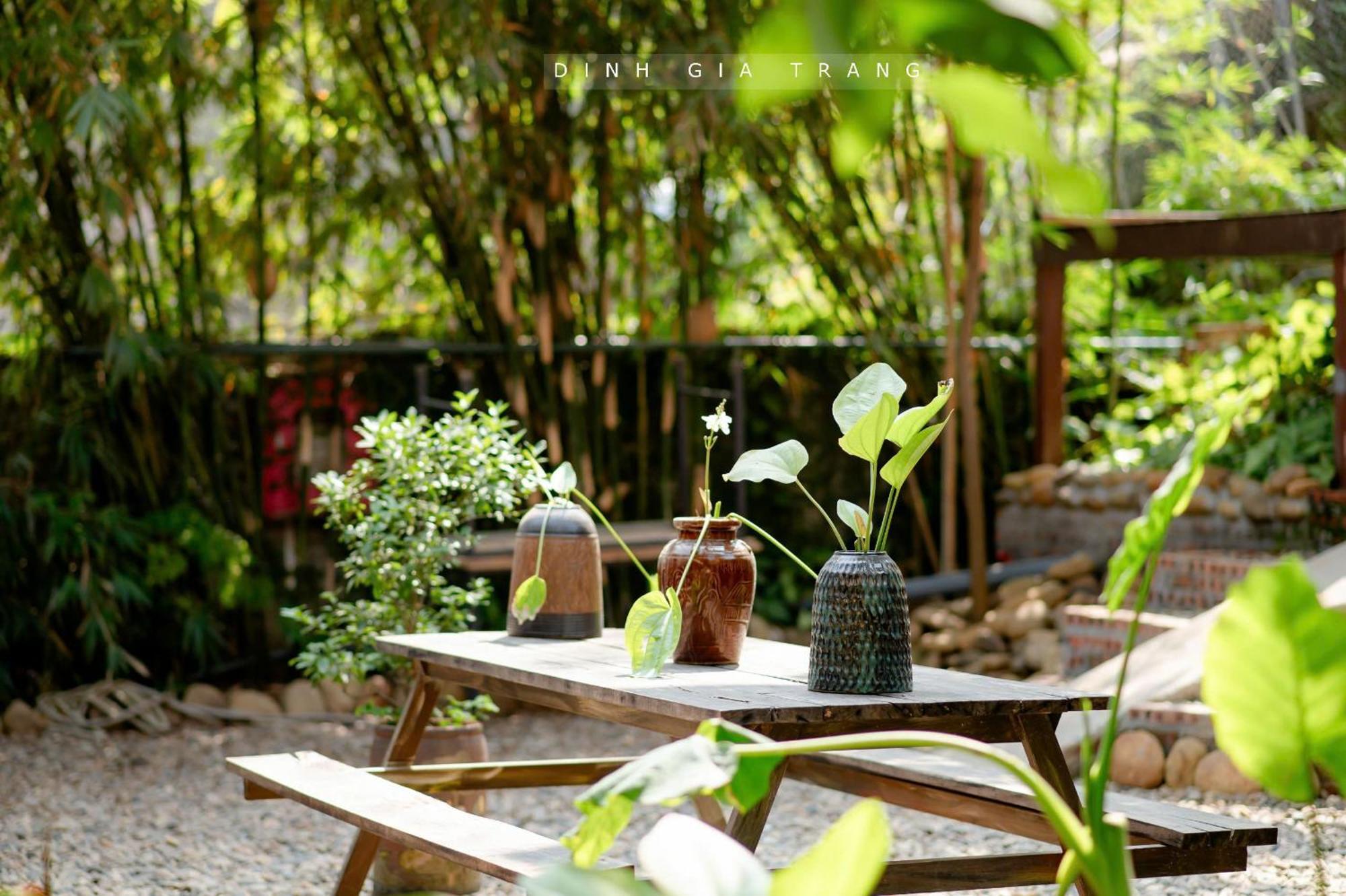 Dinh Gia Trang - & Coffee Homestay *